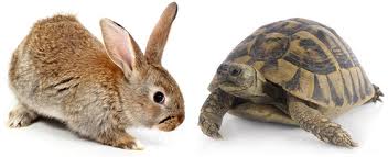 The Tortoise and the Hare